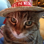 Lulu-Venice Hat - Book Editor